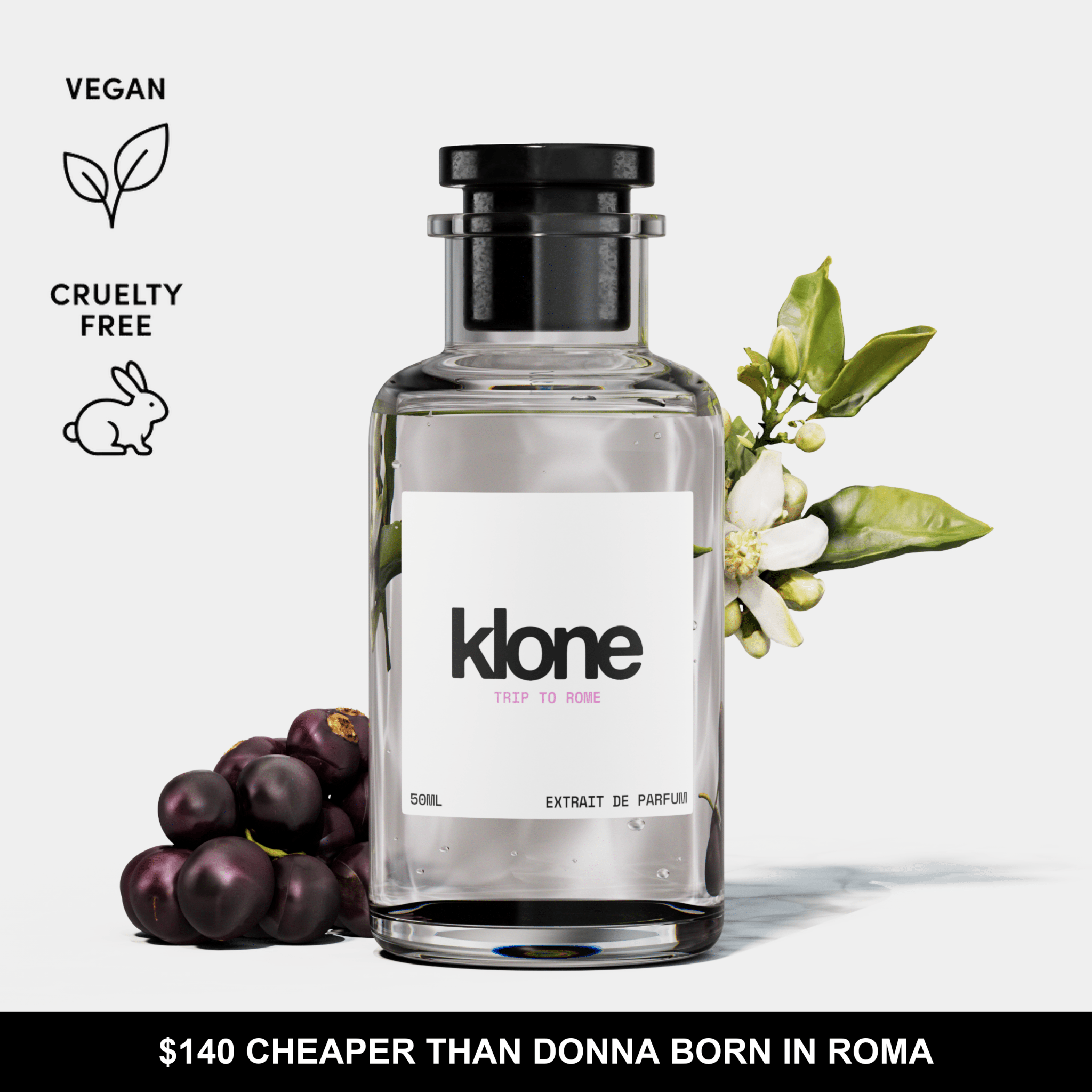 TRIP TO ROME